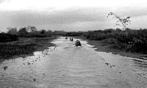 A sera si penetra nella selva del Chocó