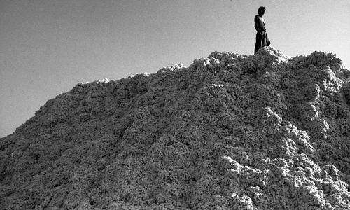 Fabbrica di cotone nella valle della Narmada-Maharashtra