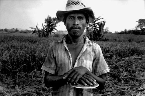 Campesino del Fronte Democratico Orientale-Huasteca